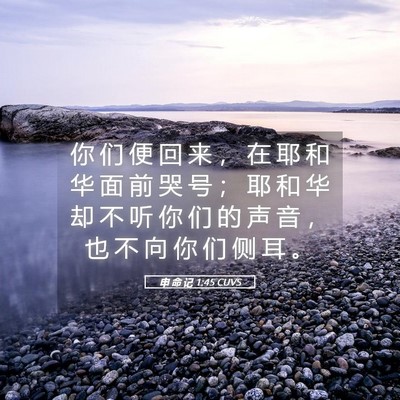 Picture 05 - 申 命 记 1:45 CUVS - 你 们 便 回 来 ， 在 耶 和 华 面 前 - Bible Verse Picture