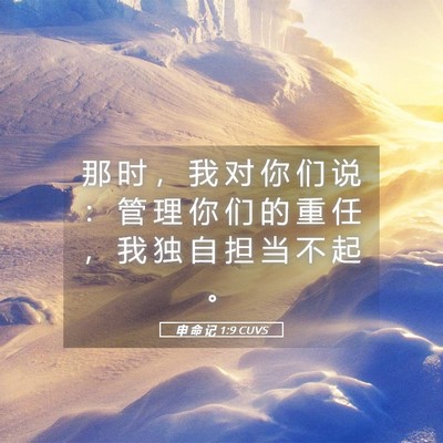 Picture 05 - 申 命 记 1:9 CUVS - 那 时 ， 我 对 你 们 说 ： 管 理 你 - Bible Verse Picture
