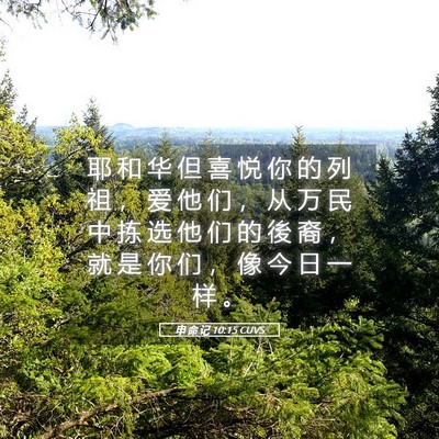 Picture 05 - 申 命 记 10:15 CUVS - 耶 和 华 但 喜 悦 你 的 列 祖 ， 爱 - Bible Verse Picture
