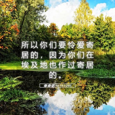 Picture 05 - 申 命 记 10:19 CUVS - 所 以 你 们 要 怜 爱 寄 居 的 ， 因 - Bible Verse Picture