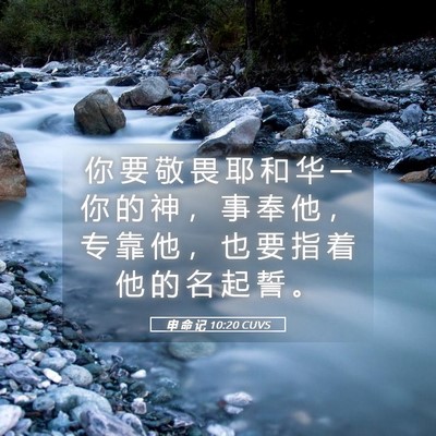 Picture 05 - 申 命 记 10:20 CUVS - 你 要 敬 畏 耶 和 华 ─ 你 的 神 ， - Bible Verse Picture