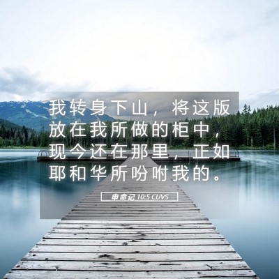 Picture 05 - 申 命 记 10:5 CUVS - 我 转 身 下 山 ， 将 这 版 放 在 我 - Bible Verse Picture