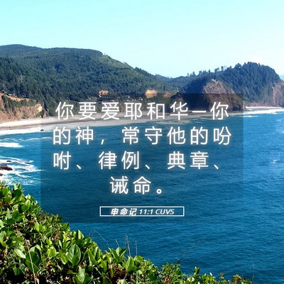 Picture 05 - 申 命 记 11:1 CUVS - 你 要 爱 耶 和 华 ─ 你 的 神 ， 常 - Bible Verse Picture