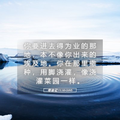 Picture 05 - 申 命 记 11:10 CUVS - 你 要 进 去 得 为 业 的 那 地 ， 本 - Bible Verse Picture