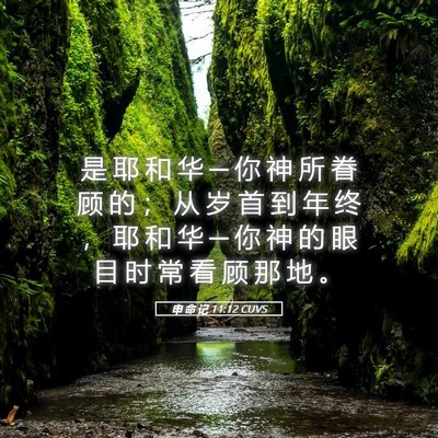 Picture 05 - 申 命 记 11:12 CUVS - 是 耶 和 华 ─ 你 神 所 眷 顾 的 ； - Bible Verse Picture
