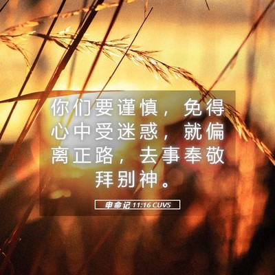 Picture 05 - 申 命 记 11:16 CUVS - 你 们 要 谨 慎 ， 免 得 心 中 受 迷 - Bible Verse Picture