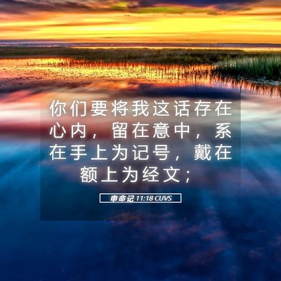 Picture 05 - 申 命 记 11:18 CUVS - 你 们 要 将 我 这 话 存 在 心 内 ， - Bible Verse Picture