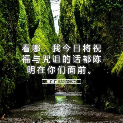 Picture 05 - 申 命 记 11:26 CUVS - 看 哪 ， 我 今 日 将 祝 福 与 咒 诅 - Bible Verse Picture