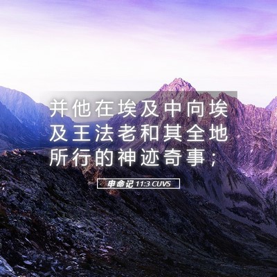 Picture 05 - 申 命 记 11:3 CUVS - 并 他 在 埃 及 中 向 埃 及 王 法 老 - Bible Verse Picture