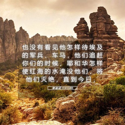Picture 05 - 申 命 记 11:4 CUVS - 也 没 有 看 见 他 怎 样 待 埃 及 的 - Bible Verse Picture