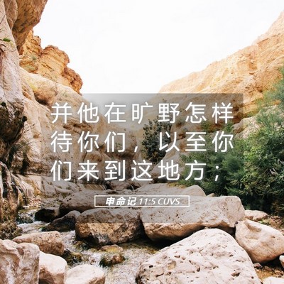 Picture 05 - 申 命 记 11:5 CUVS - 并 他 在 旷 野 怎 样 待 你 们 ， 以 - Bible Verse Picture