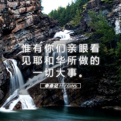 Picture 05 - 申 命 记 11:7 CUVS - 惟 有 你 们 亲 眼 看 见 耶 和 华 所 - Bible Verse Picture