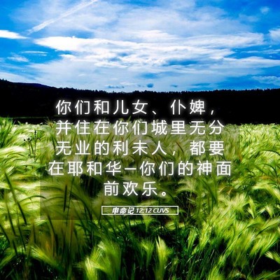 Picture 05 - 申 命 记 12:12 CUVS - 你 们 和 儿 女 、 仆 婢 ， 并 住 在 - Bible Verse Picture