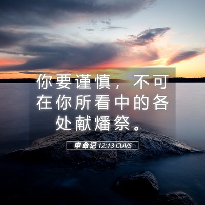 Picture 05 - 申 命 记 12:13 CUVS - 你 要 谨 慎 ， 不 可 在 你 所 看 中 - Bible Verse Picture