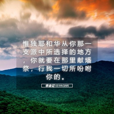 Picture 05 - 申 命 记 12:14 CUVS - 惟 独 耶 和 华 从 你 那 一 支 派 中 - Bible Verse Picture