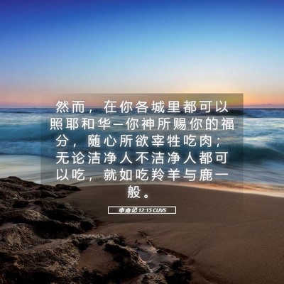 Picture 05 - 申 命 记 12:15 CUVS - 然 而 ， 在 你 各 城 里 都 可 以 照 - Bible Verse Picture