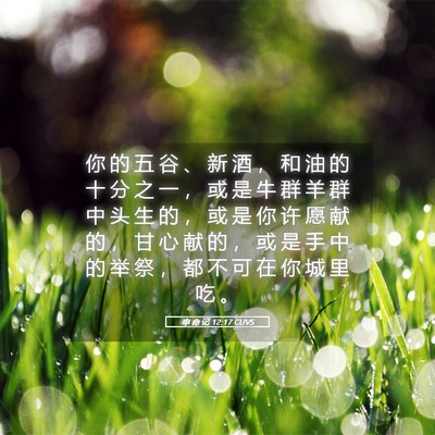 Picture 05 - 申 命 记 12:17 CUVS - 你 的 五 谷 、 新 酒 ， 和 油 的 十 - Bible Verse Picture