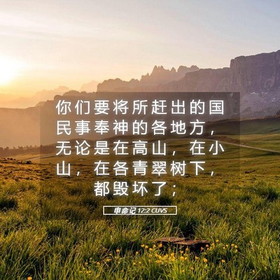 Picture 05 - 申 命 记 12:2 CUVS - 你 们 要 将 所 赶 出 的 国 民 事 奉 - Bible Verse Picture