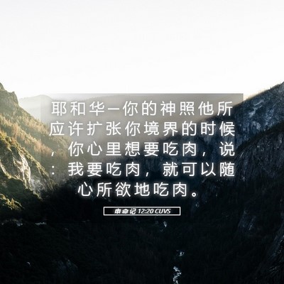 Picture 05 - 申 命 记 12:20 CUVS - 耶 和 华 ─ 你 的 神 照 他 所 应 许 - Bible Verse Picture