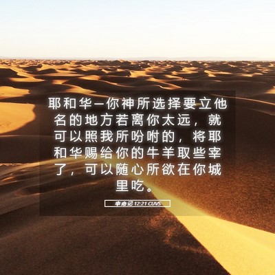 Picture 05 - 申 命 记 12:21 CUVS - 耶 和 华 ─ 你 神 所 选 择 要 立 他 - Bible Verse Picture