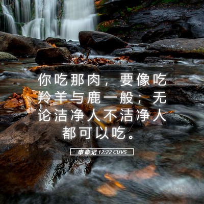 Picture 05 - 申 命 记 12:22 CUVS - 你 吃 那 肉 ， 要 像 吃 羚 羊 与 鹿 - Bible Verse Picture