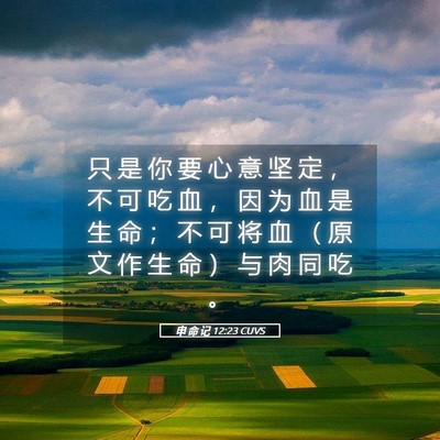 Picture 05 - 申 命 记 12:23 CUVS - 只 是 你 要 心 意 坚 定 ， 不 可 吃 - Bible Verse Picture