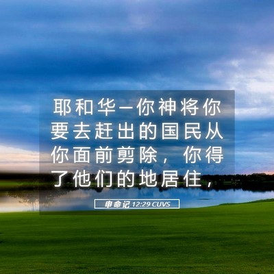 Picture 05 - 申 命 记 12:29 CUVS - 耶 和 华 ─ 你 神 将 你 要 去 赶 出 - Bible Verse Picture