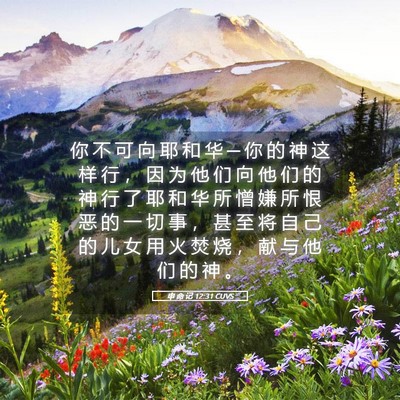 Picture 05 - 申 命 记 12:31 CUVS - 你 不 可 向 耶 和 华 ─ 你 的 神 这 - Bible Verse Picture