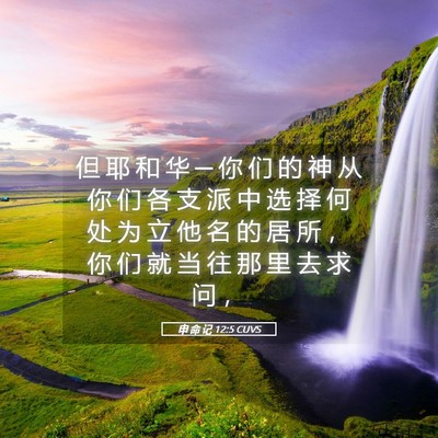 Picture 05 - 申 命 记 12:5 CUVS - 但 耶 和 华 ─ 你 们 的 神 从 你 们 - Bible Verse Picture