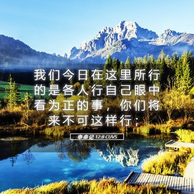 Picture 05 - 申 命 记 12:8 CUVS - 我 们 今 日 在 这 里 所 行 的 是 各 - Bible Verse Picture