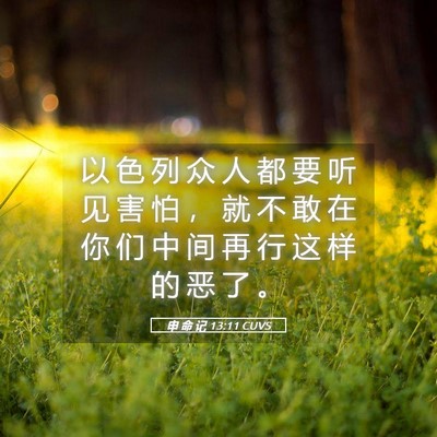 Picture 05 - 申 命 记 13:11 CUVS - 以 色 列 众 人 都 要 听 见 害 怕 ， - Bible Verse Picture