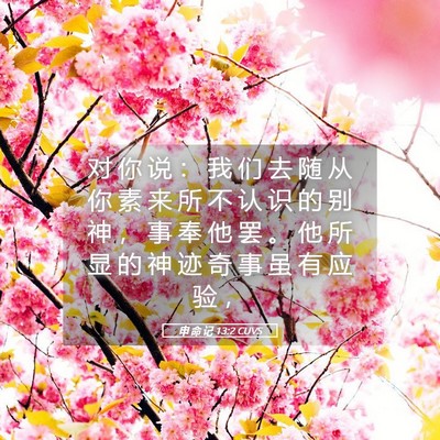 Picture 05 - 申 命 记 13:2 CUVS - 对 你 说 ： 我 们 去 随 从 你 素 来 - Bible Verse Picture