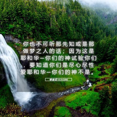 Picture 05 - 申 命 记 13:3 CUVS - 你 也 不 可 听 那 先 知 或 是 那 做 - Bible Verse Picture