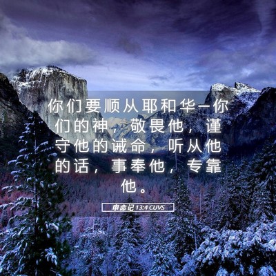 Picture 05 - 申 命 记 13:4 CUVS - 你 们 要 顺 从 耶 和 华 ─ 你 们 的 - Bible Verse Picture