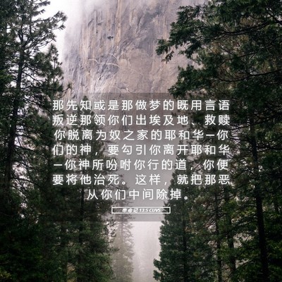 Picture 05 - 申 命 记 13:5 CUVS - 那 先 知 或 是 那 做 梦 的 既 用 言 - Bible Verse Picture