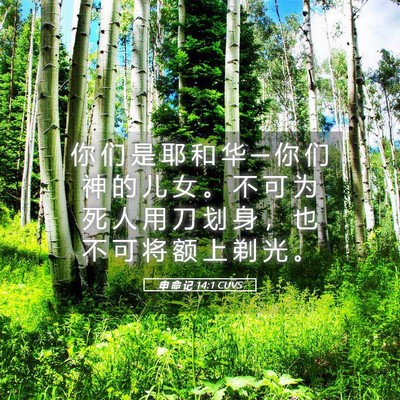 Picture 05 - 申 命 记 14:1 CUVS - 你 们 是 耶 和 华 ─ 你 们 神 的 儿 - Bible Verse Picture