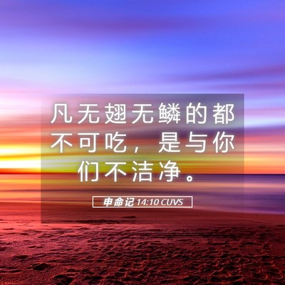 Picture 05 - 申 命 记 14:10 CUVS - 凡 无 翅 无 鳞 的 都 不 可 吃 ， 是 - Bible Verse Picture