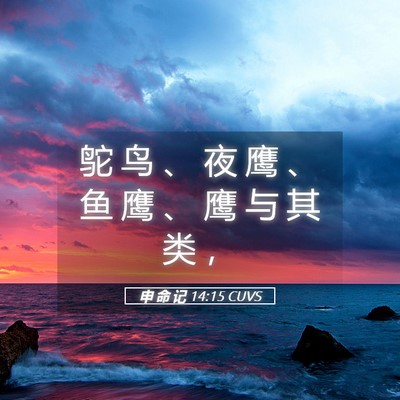 Picture 05 - 申 命 记 14:15 CUVS - 鸵 鸟 、 夜 鹰 、 鱼 鹰 、 鹰 与 其 - Bible Verse Picture