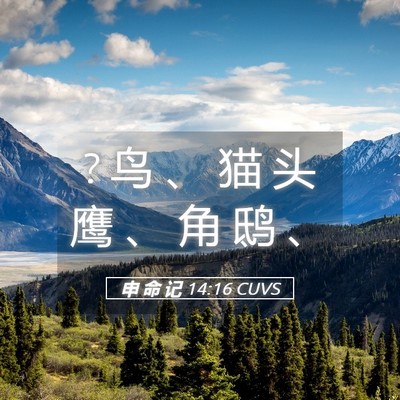 Picture 05 - 申 命 记 14:16 CUVS - ? 鸟 、 猫 头 鹰 、 角 鸱 - Bible Verse Picture