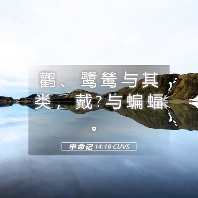 Picture 05 - 申 命 记 14:18 CUVS - 鹳 、 鹭 鸶 与 其 类 ， 戴 ? 与 蝙 蝠 - Bible Verse Picture