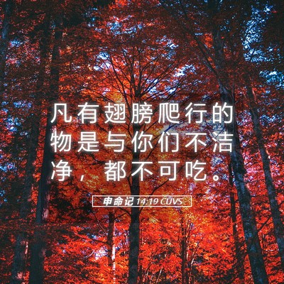 Picture 05 - 申 命 记 14:19 CUVS - 凡 有 翅 膀 爬 行 的 物 是 与 你 们 - Bible Verse Picture