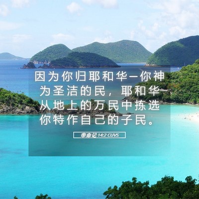 Picture 05 - 申 命 记 14:2 CUVS - 因 为 你 归 耶 和 华 ─ 你 神 为 圣 - Bible Verse Picture