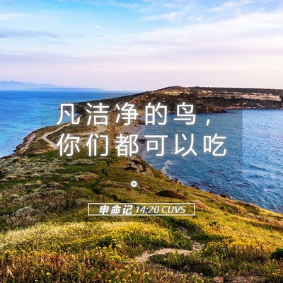 Picture 05 - 申 命 记 14:20 CUVS - 凡 洁 净 的 鸟 ， 你 们 都 可 以 吃 - Bible Verse Picture