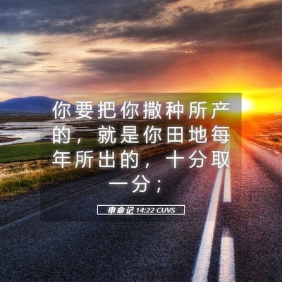 Picture 05 - 申 命 记 14:22 CUVS - 你 要 把 你 撒 种 所 产 的 ， 就 是 - Bible Verse Picture