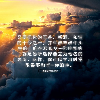 Picture 05 - 申 命 记 14:23 CUVS - 又 要 把 你 的 五 谷 、 新 酒 、 和 - Bible Verse Picture