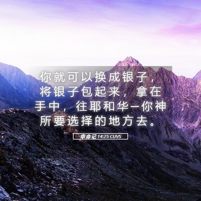 Picture 05 - 申 命 记 14:25 CUVS - 你 就 可 以 换 成 银 子 ， 将 银 子 - Bible Verse Picture