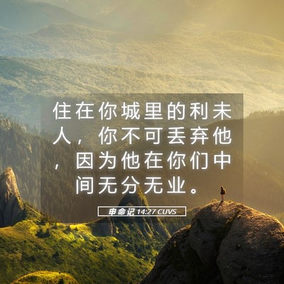 Picture 05 - 申 命 记 14:27 CUVS - 住 在 你 城 里 的 利 未 人 ， 你 不 - Bible Verse Picture