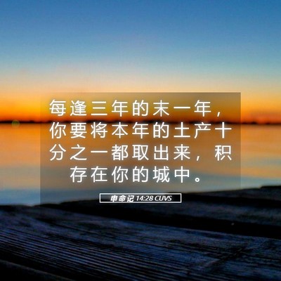 Picture 05 - 申 命 记 14:28 CUVS - 每 逢 三 年 的 末 一 年 ， 你 要 将 - Bible Verse Picture
