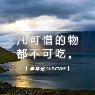 Picture 05 - 申 命 记 14:3 CUVS - 凡 可 憎 的 物 都 不 可 吃 - Bible Verse Picture