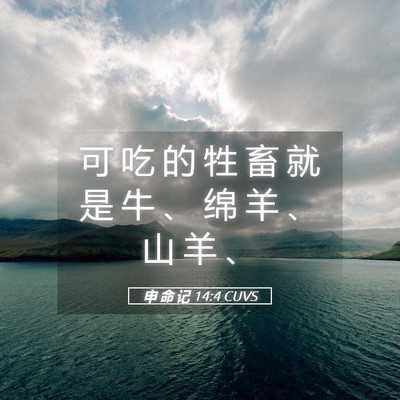 Picture 05 - 申 命 记 14:4 CUVS - 可 吃 的 牲 畜 就 是 牛 、 绵 羊 、 - Bible Verse Picture